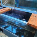 북벽가든 이미지