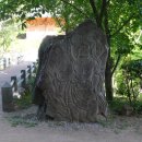 ★ 우리나라에서 가장 오래된 호도나무가 자라는 곳, 천안 광덕사 이미지