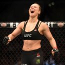 링 종합격투기 이미지