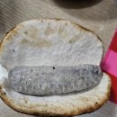 낭만기타 이미지