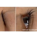 산본두성프라자(두성빌딩) | 더뷰티 산본점 | 산본역 속눈썹펌 블랙틴팅 후기