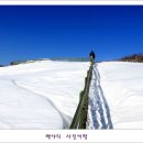 백야 이미지