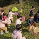 솔숲어린이집 이미지