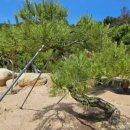 태림농원 이미지