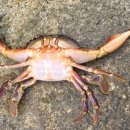 동산항 화장실 이미지