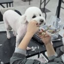 스무살의이야기학원