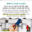 평화대성약국 이미지