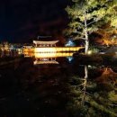 경주 동궁과 월지 야경 시간 경주 볼거리 명소 데이트 코스 추천 이미지