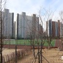 장지체육공원 족구장 이미지