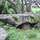 용월리지석묘군 이미지