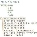 림마인드 이미지
