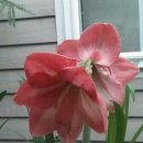 장현3리 이미지