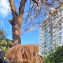 갈뫼어린이공원 이미지