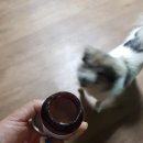 선농이노텍(주) | 반려견영양제 제파민107 2주 급여 후기