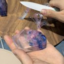 오터솝