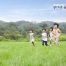 행정리 2-6 이미지