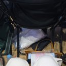 전진 체육관 | 데이식스 10주년 팬미팅 PIER10 막첫 후기 / 잠실실내체육관 플로어 시야 / 퇴근길 / MD 굿즈 실물