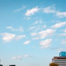 은행나무한의원 이미지