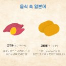 소라일본어