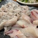 전라도세꼬시 이미지