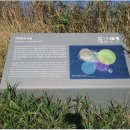 용수절부암 이미지