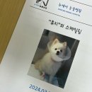 뉴케어동물병원 이미지