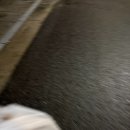 두리통닭
