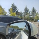 펫사랑 콜 이미지