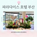 세이브존앞도로(19) | 파라다이스 호텔 2박 후기 부대시설정보 ( 도라에몽...디너, BMW키즈드라이빙존, 하바키즈라운지...