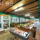 다소니펜션 이미지