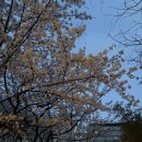 전치 앞(1) | 둘째 출산일기👶🏻 / 전치태반 산모의 아산병원 제왕절개 출산후기