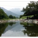 청도소싸움경기장 이미지