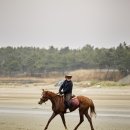 휘게;망원 | 고창 해변에서 말과 교감, 이색 스포츠 촬영 | 이매진포토