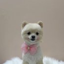 모노퍼피 이미지