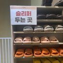 펫스테이션 | [부산/광안리] 부산 광안리 고양이카페 '피피피 펫스테이션' 후기