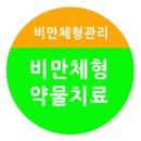 목동 비만체형관리 :: 비만치료제 마진돌 펜터민 펜디메트라진 이미지