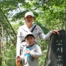 서해송 이미지