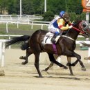 경마공원 이미지