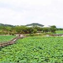 꽃돌농장 이미지