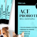 에이스랩 이미지