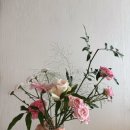 목동역 3번출구(4번출구 옆, 목동7단지 부출입구 앞) | 목동역 꽃집] 플랜테리어 소냐르플라워 1년 365일 24시간 무인픽업 꽃다발