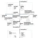 차크라와 아로마의 음양에너지 이미지