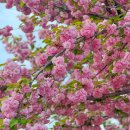 들성생태공원 이미지