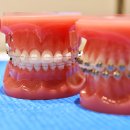 연세엔서울치과교정과치과의원 이미지