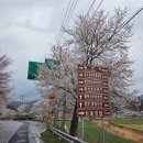 바람흔적미술관글램핑 | 경남 합천숙소 추천 바람 흔적 글램핑 합천 카라반 합천 글램핑장