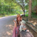 똥깡아지네 이미지