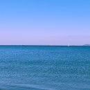 송도해수욕장 이미지