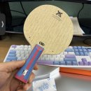 엑시옴 크롬 팝니다.(완료) 이미지