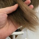 헤어라푼젤 이미지