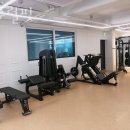 네추럴핏 이미지